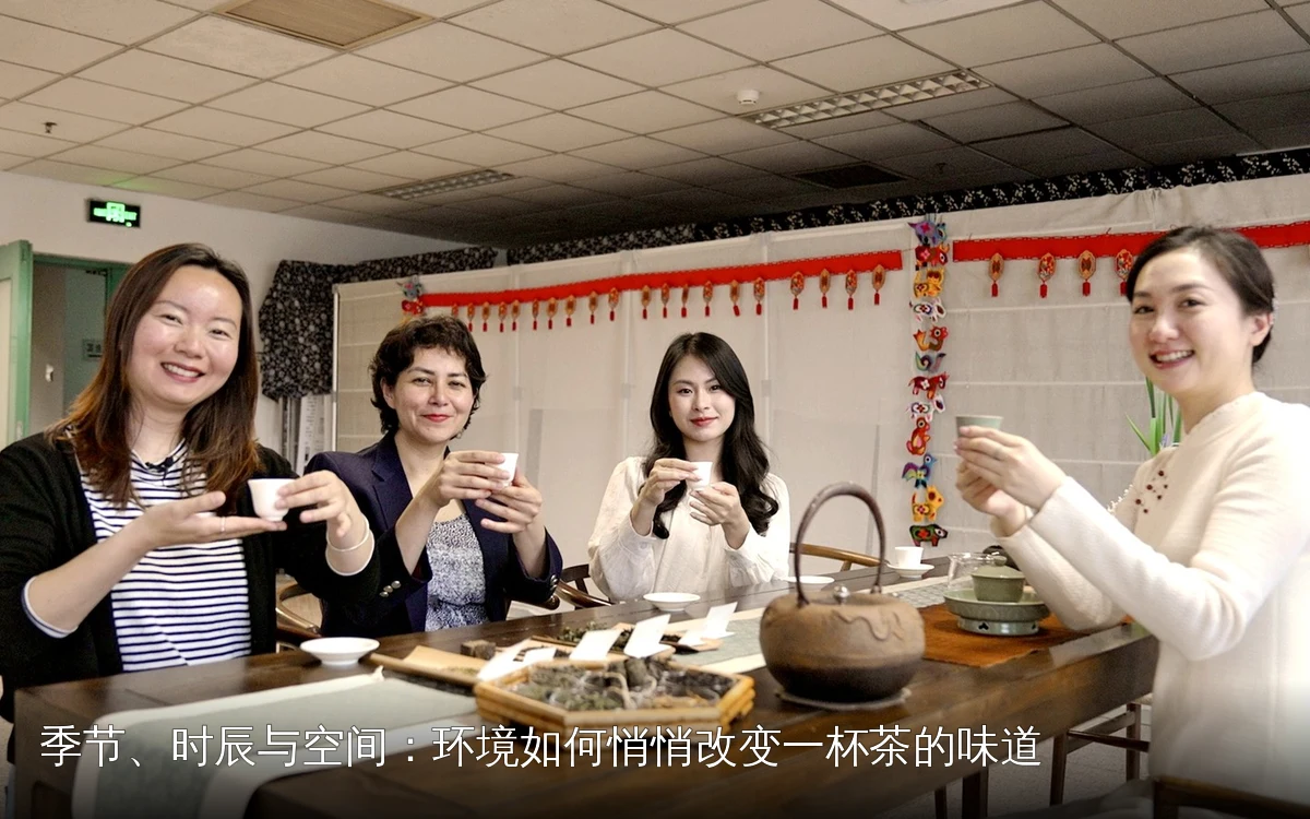 季节、时辰与空间:环境如何悄悄改变一杯茶的味道